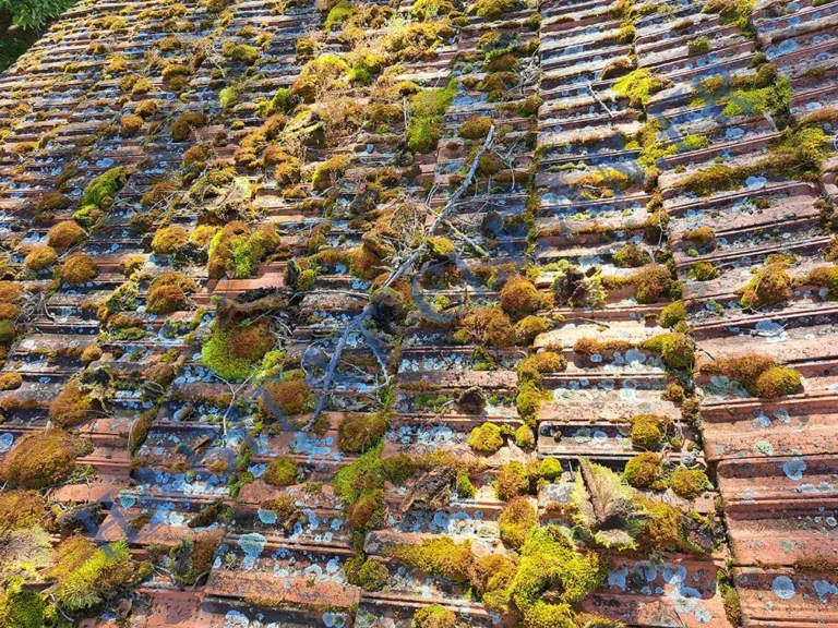 Nos réalisations,expertise,excellence,SAVOIR-FAIRE,INCOMPARABLE demoussage toiture beaune habitat clean