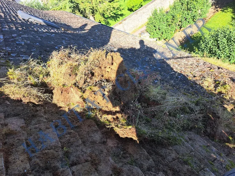 demoussage toiture beaune habitat clean