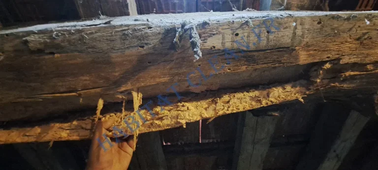 traitement de charpente habitat clean beaune 21200