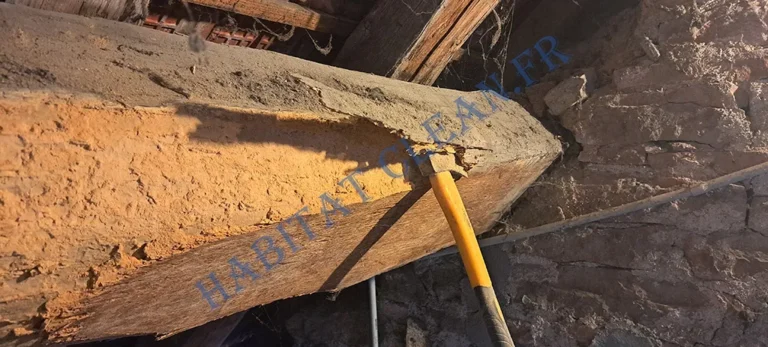 traitement de charpente habitat clean beaune 21200