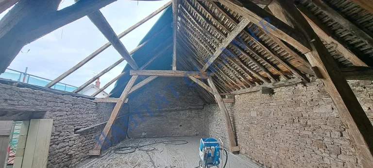 sablage-chalet-plafond-bois-2-portail-metal-habitat-clean-beaune-21200