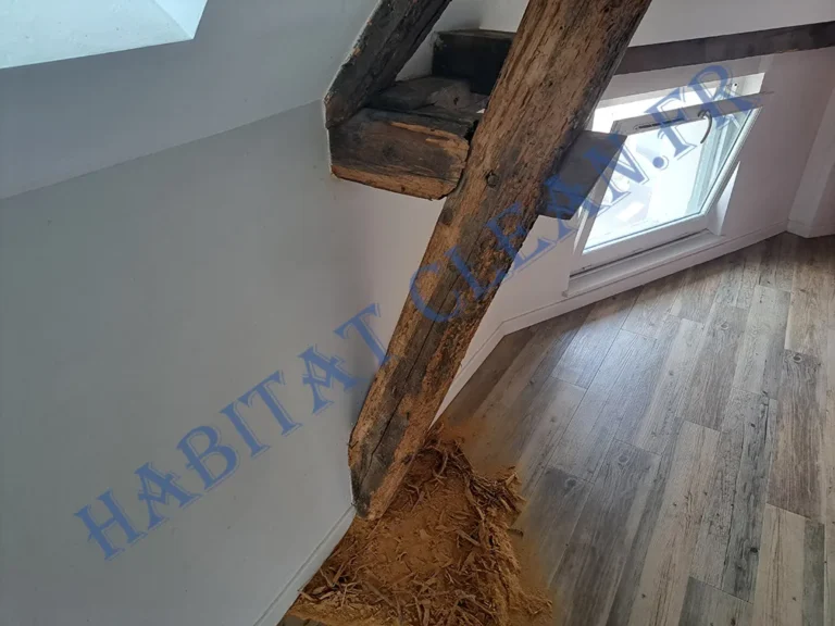 traitement de charpente habitat clean beaune 21200