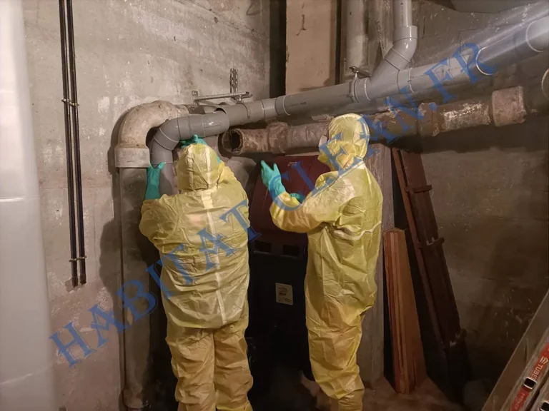 Desamiantage-toiture-fibro-ciment-dalle-plafond-sol-21200-Beaune