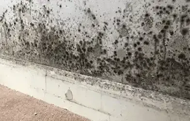 traitement des remontee capillaire habitat clean beaune