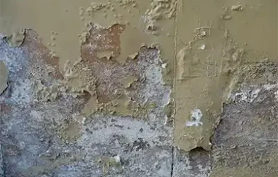 traitement des remontee capillaire habitat clean beaune