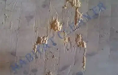 Traitement des Charpentes Bois à Beaune traitement-de-charpente-injection-bois-insecte-xylophage-capricorne-lyctus-6-vrillette-habitat-clean-beaune-21200