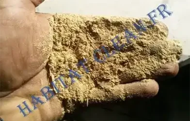 traitement-de-charpente-injection-bois-insecte-xylophage-capricorne-lyctus-6-vrillette-habitat-clean-beaune-21200